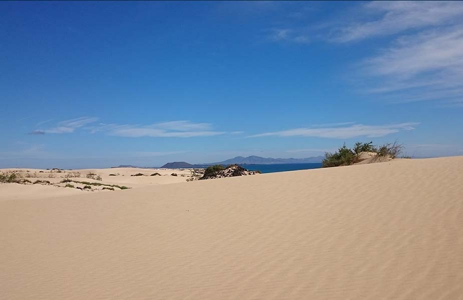 De typische woestijnduinen bij Corralejo