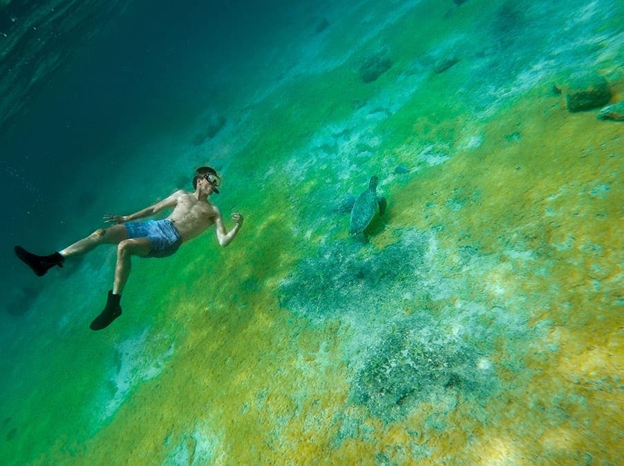 bonaire snorkelen