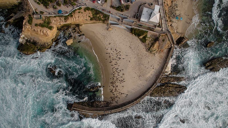 Children's pool la jolla