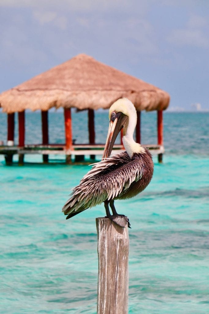 Strand bij Puerto Morelos, een van de mooiste stranden van Mexico