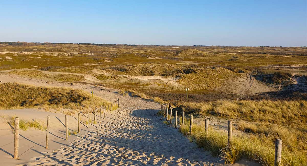 Mooie natuur bij de duinen