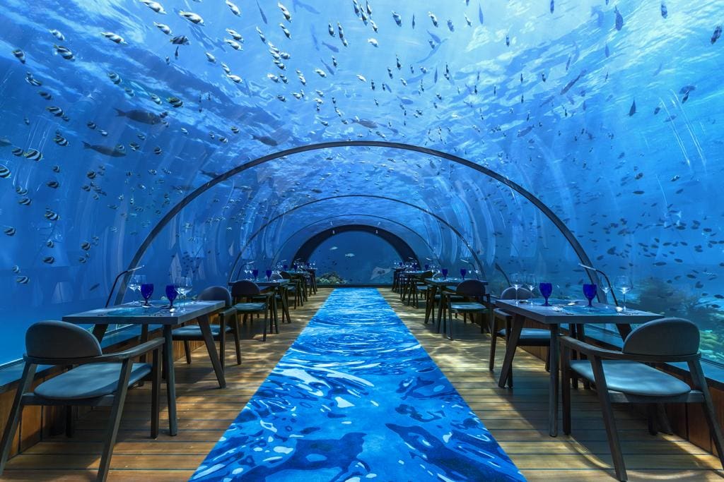 Het beroemde onderwater restaurant op de Malediven