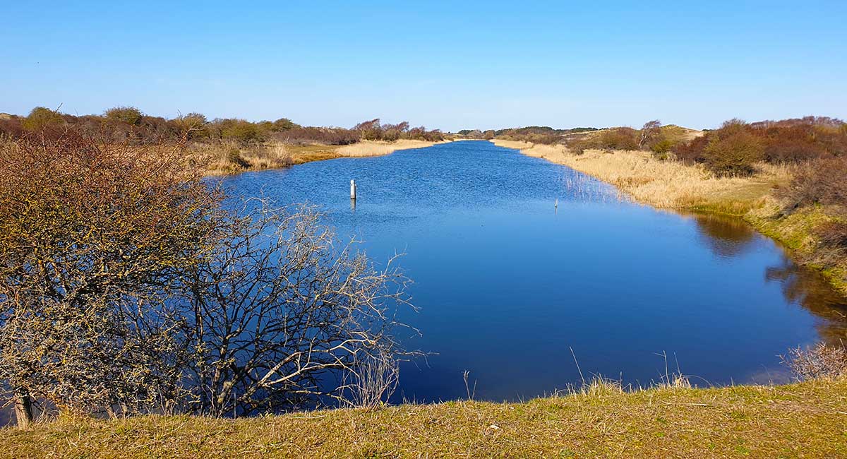 Zicht op water in het Amsterdamse Waterleidingduinen gebied