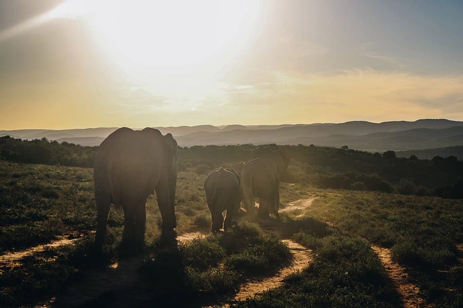 reisroutes door Zuid-Afrika