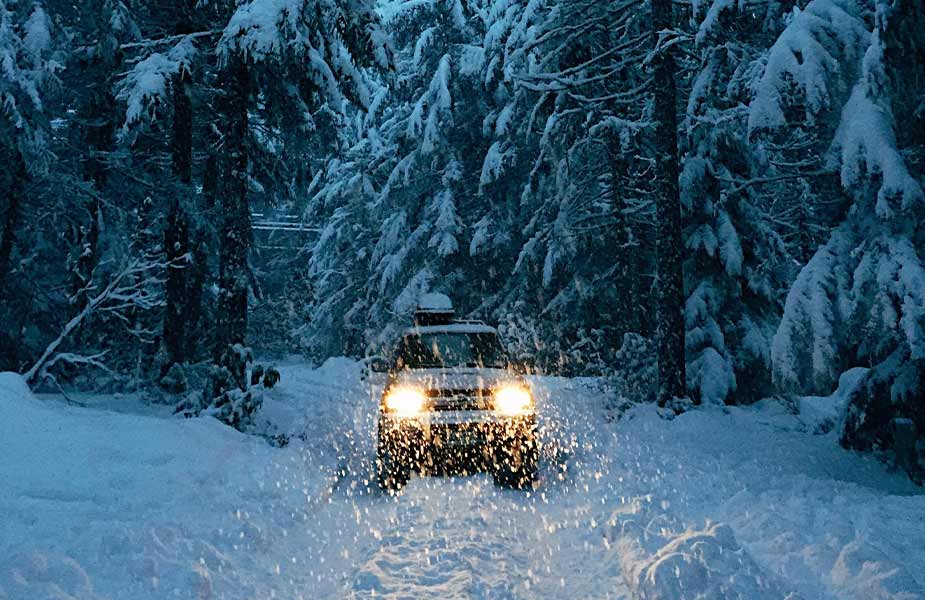 Auto rijdt in de sneeuw in het bos