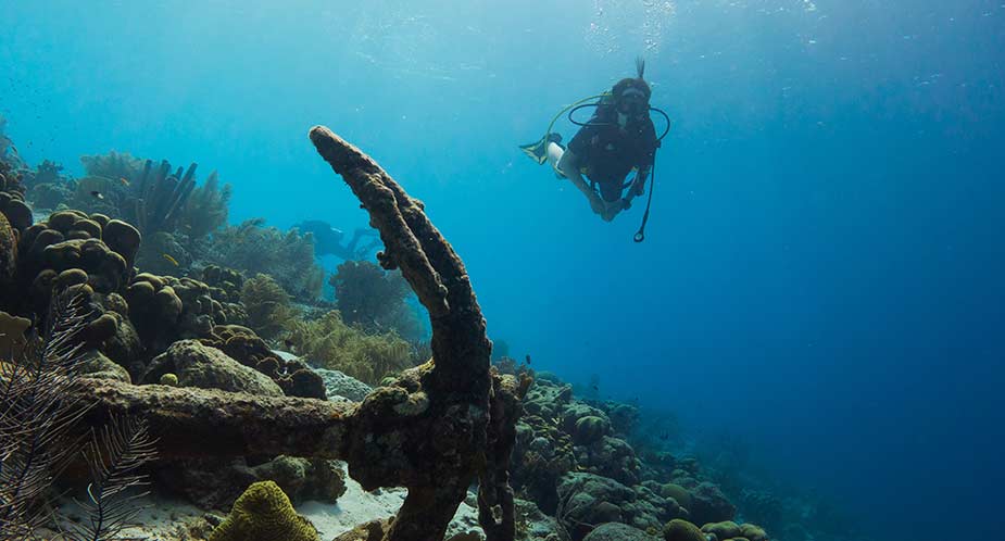 Een duiker in zee bij Bonaire