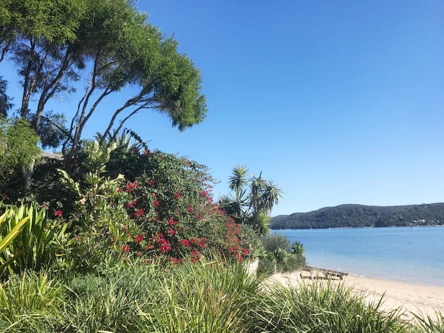 Strand en natuur op Palm Beach 