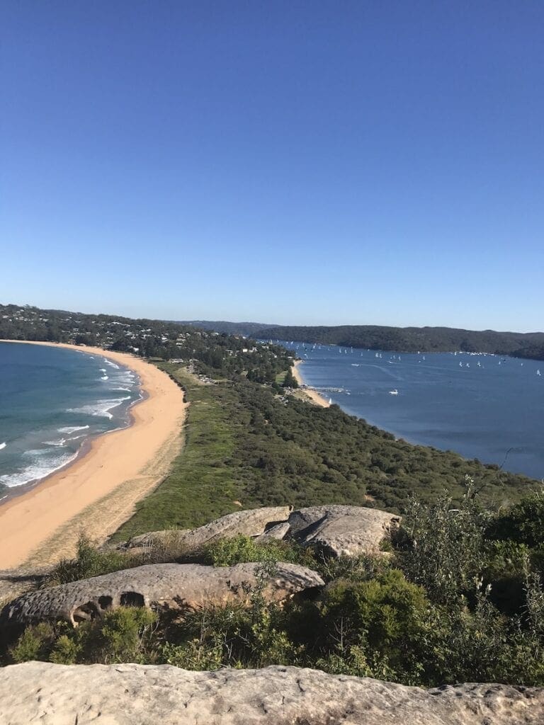 Palm Beach viewpoint met uitzicht op 'palmboom' eiland