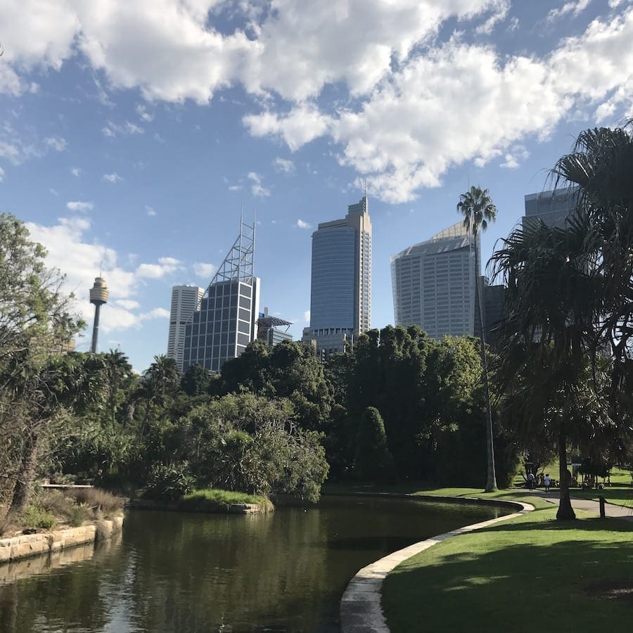 Wolkenkrabbers te zien vanuit Royal Botanical Gardens 