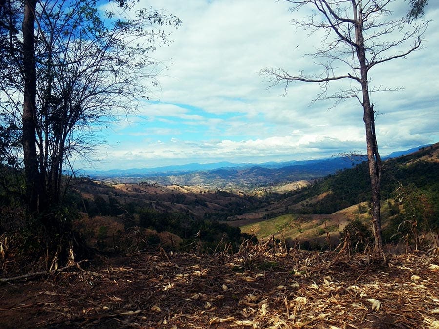 Fietsen door National Park Thailand