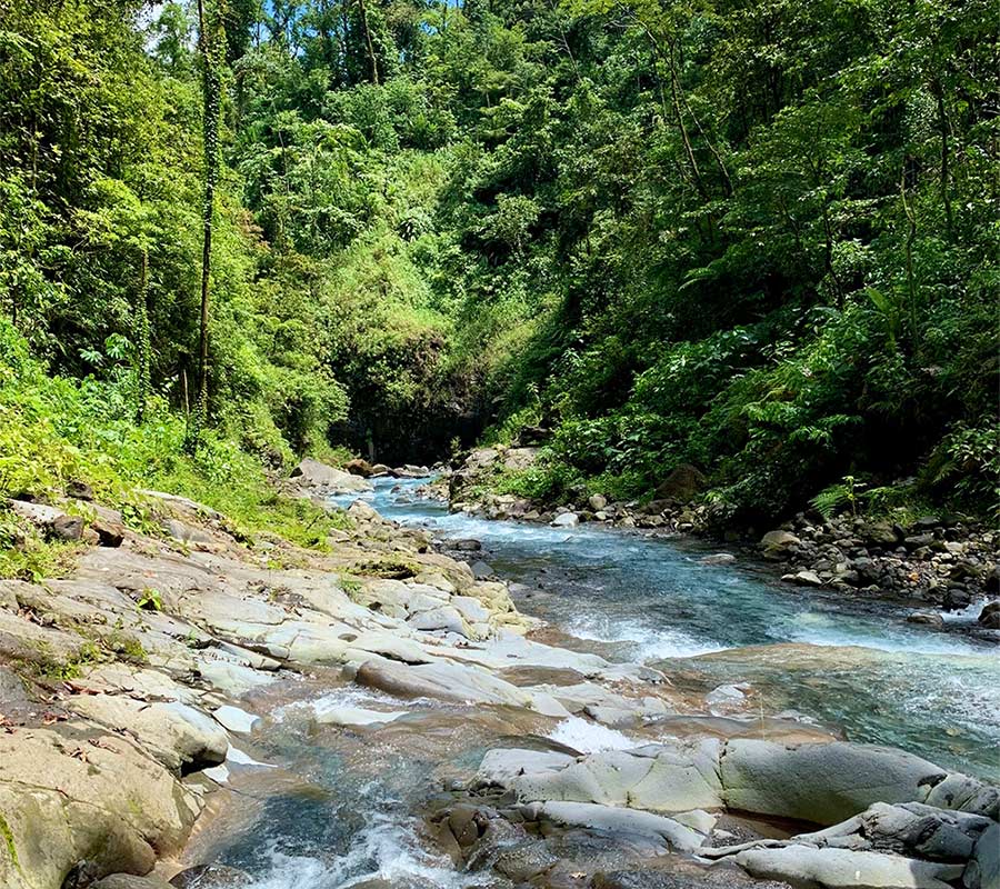 Dit rustgevend riviertje is tekenend voor Pura Vida Costa Rica