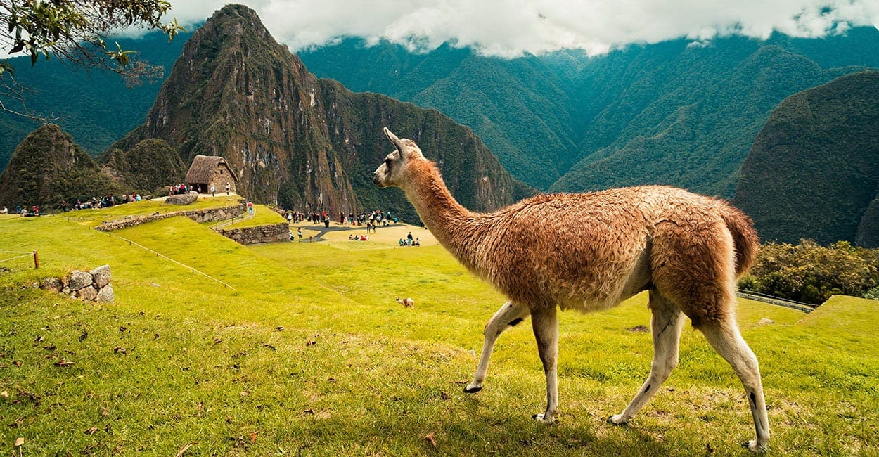 reis naar peru