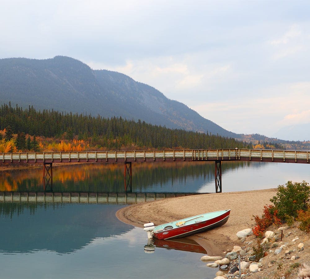 Water in Yukon - Daphne