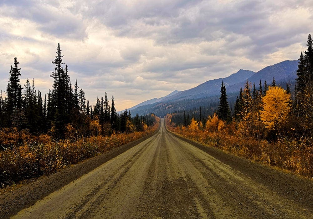 Road in canada - Daphne