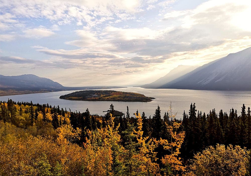 Water in Yukon - Daphne