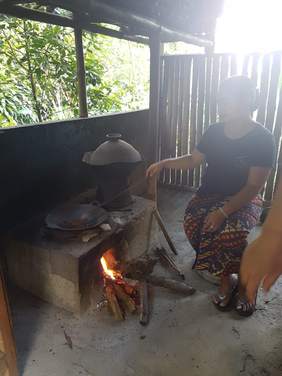 kopi luwak koffie in Noord Bali