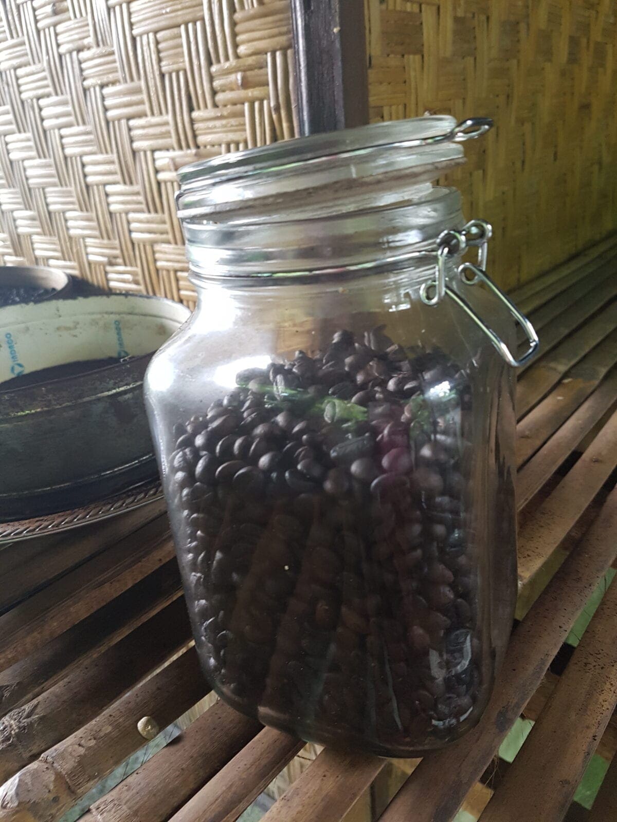 kopi luwak koffiebonen in Noord Bali