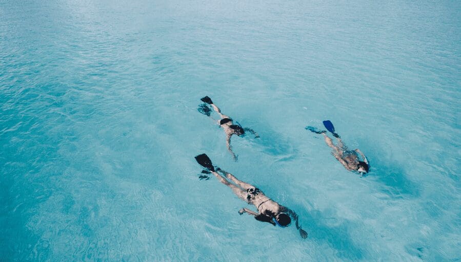 Snorkelaars in de zee bij Bali voor het spotten van dieren op Bali in zee