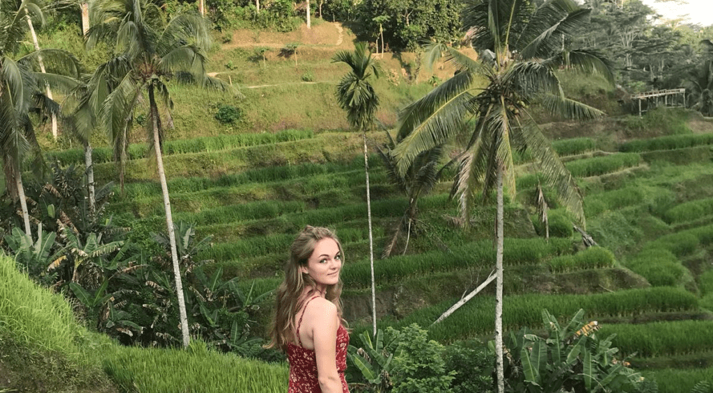 Sterre bij Tegalalang rijstterrassen in Ubud