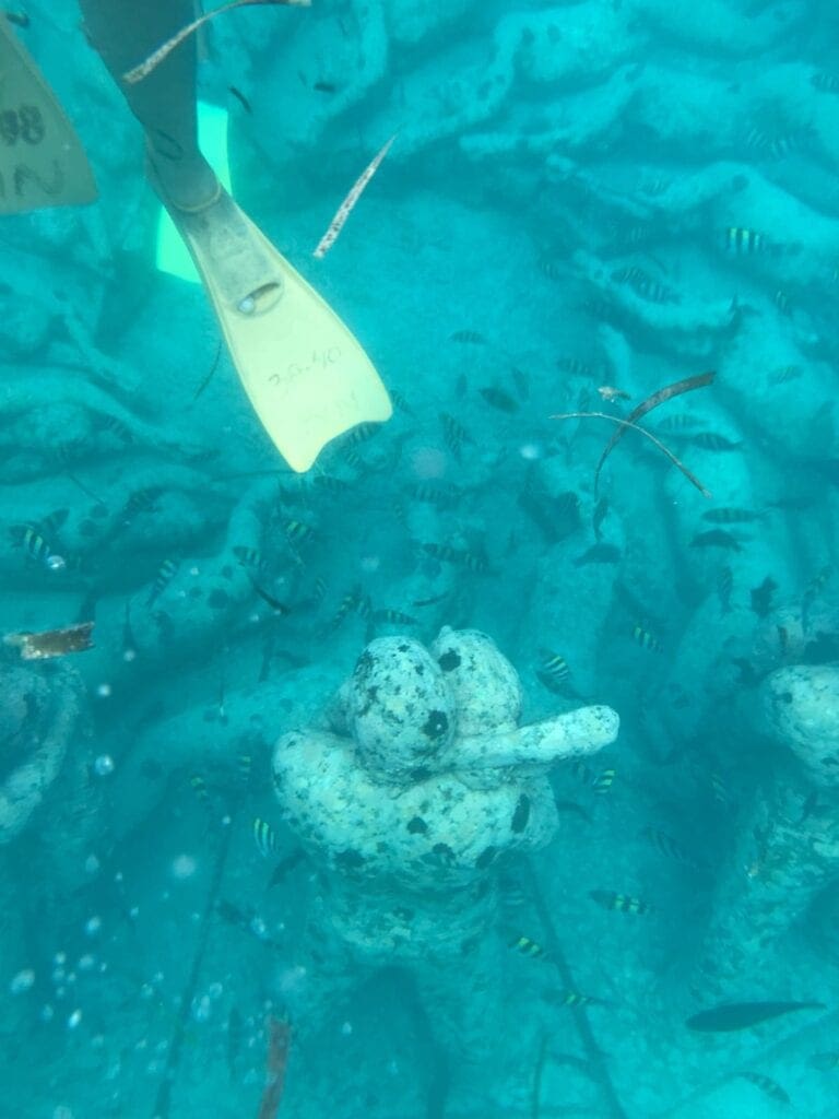 Snorkelen bij de Gili-eilanden