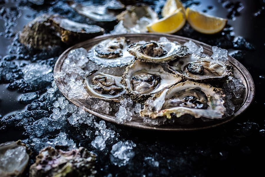 Oesters uit de regio van Dubrovnik