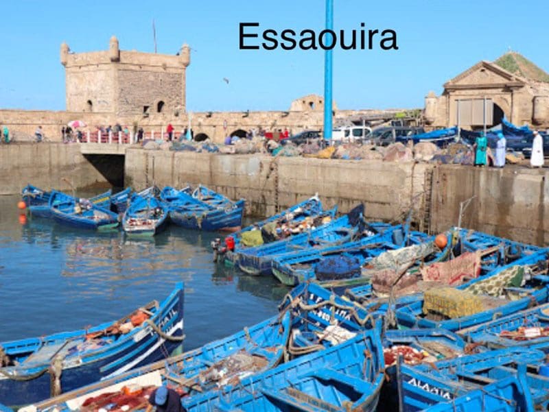 Het haventje van Essaouira in Marokko