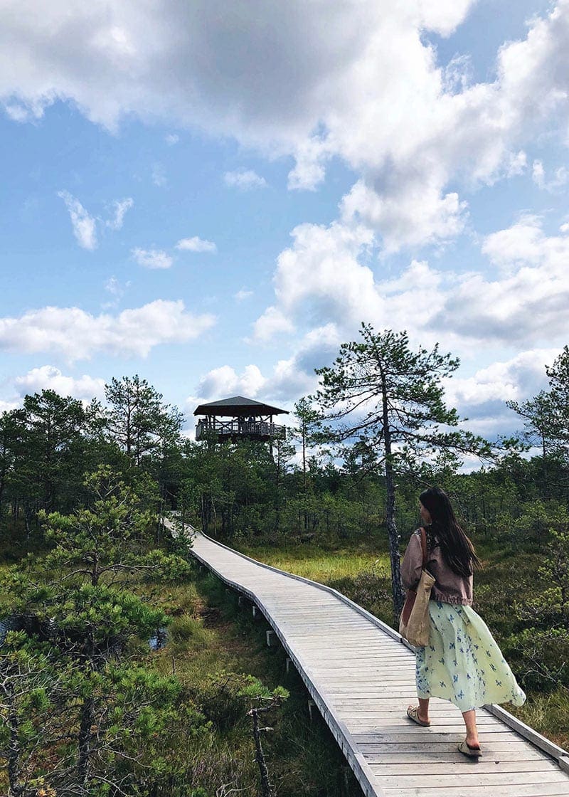 Natuurpark in de buurt van Tallinn reis baltische staten