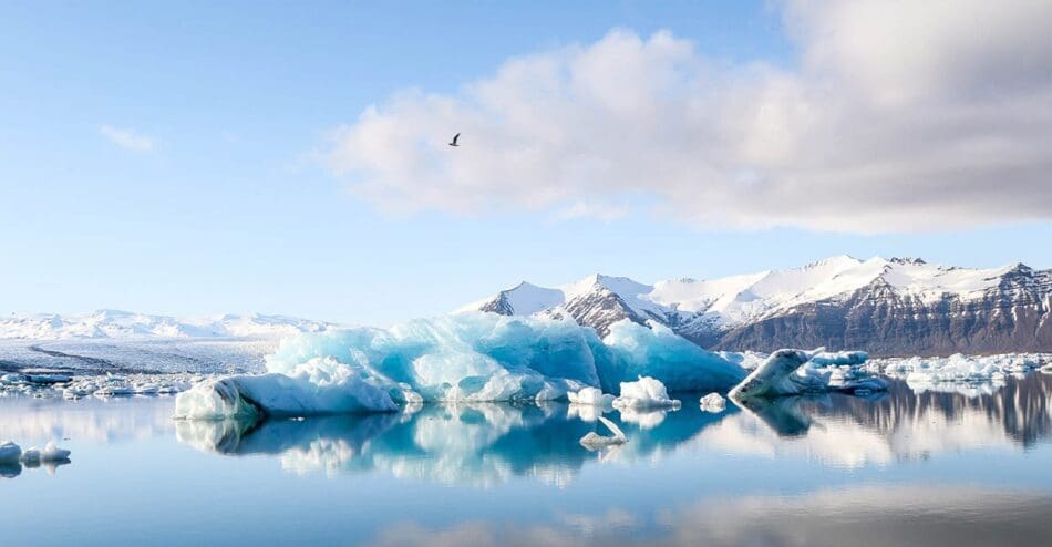 natuur in ijsland
