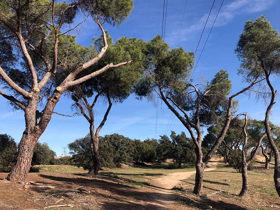 casa de campo madrid