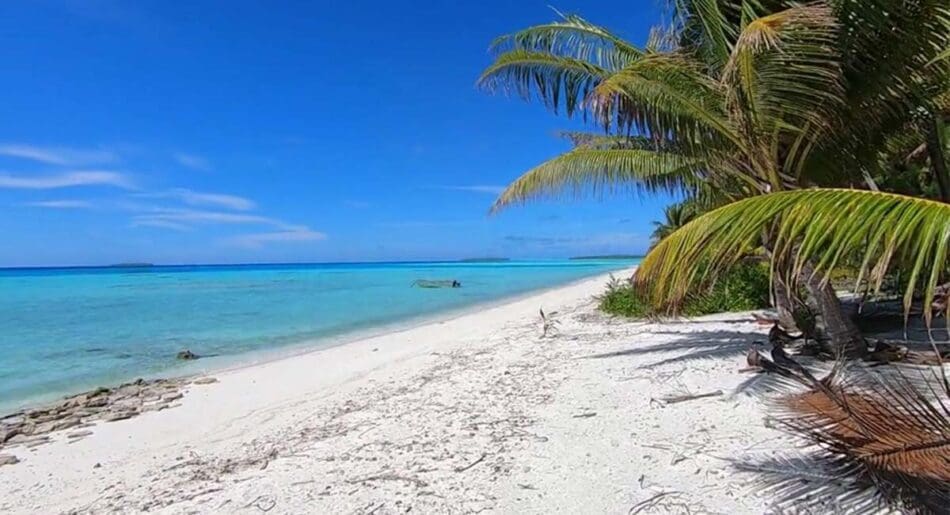 Tropisch strand op Frans Polynesie