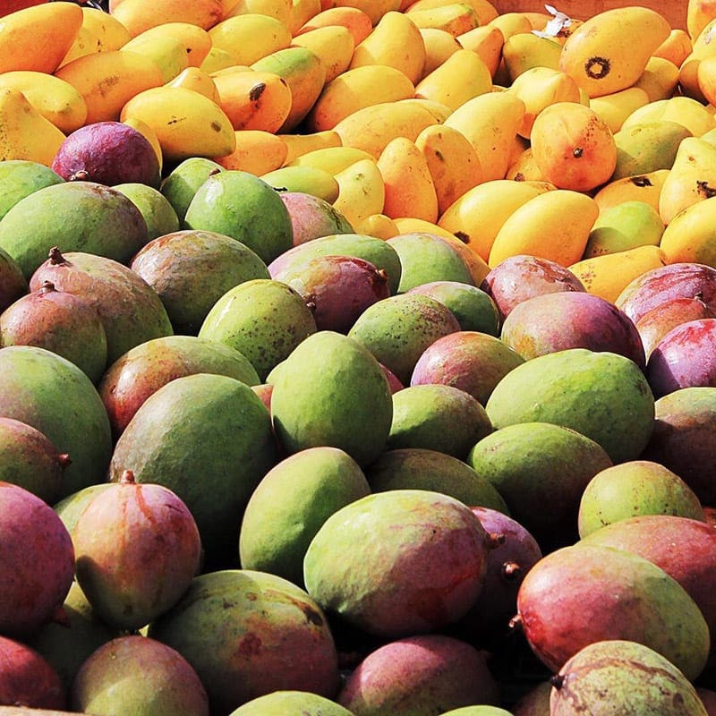 vers fruit mangos