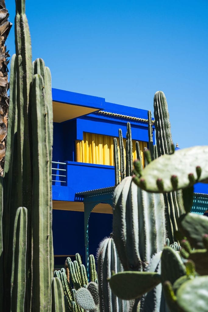 blauw huis en cactussen in Marokko