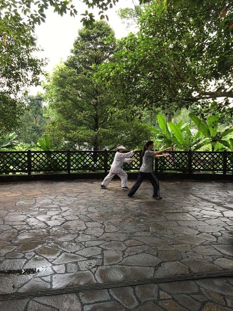 tai chi tijdens reis naar singapore