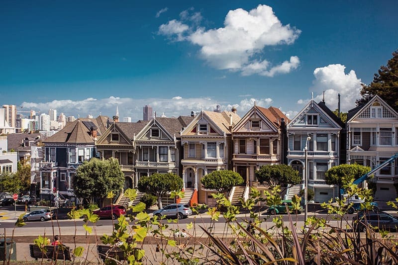 the painted ladies