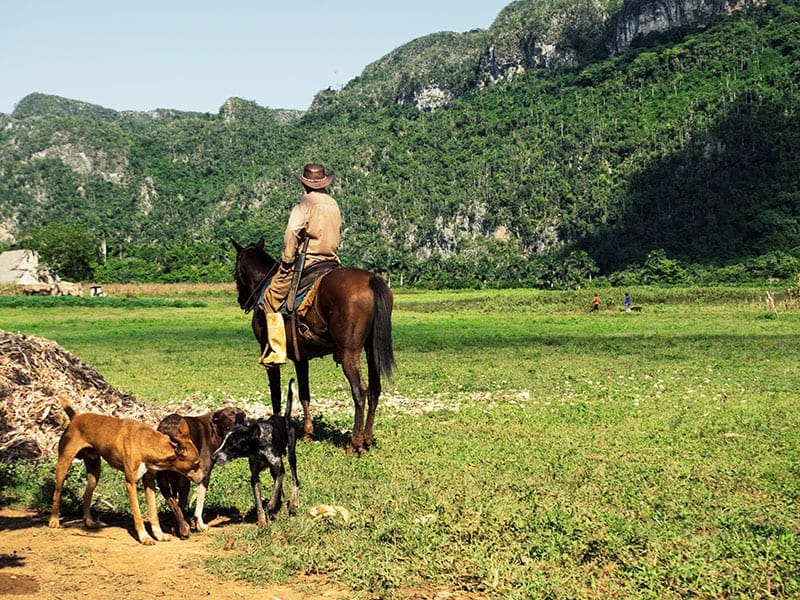 de Viñales-vallei cuba