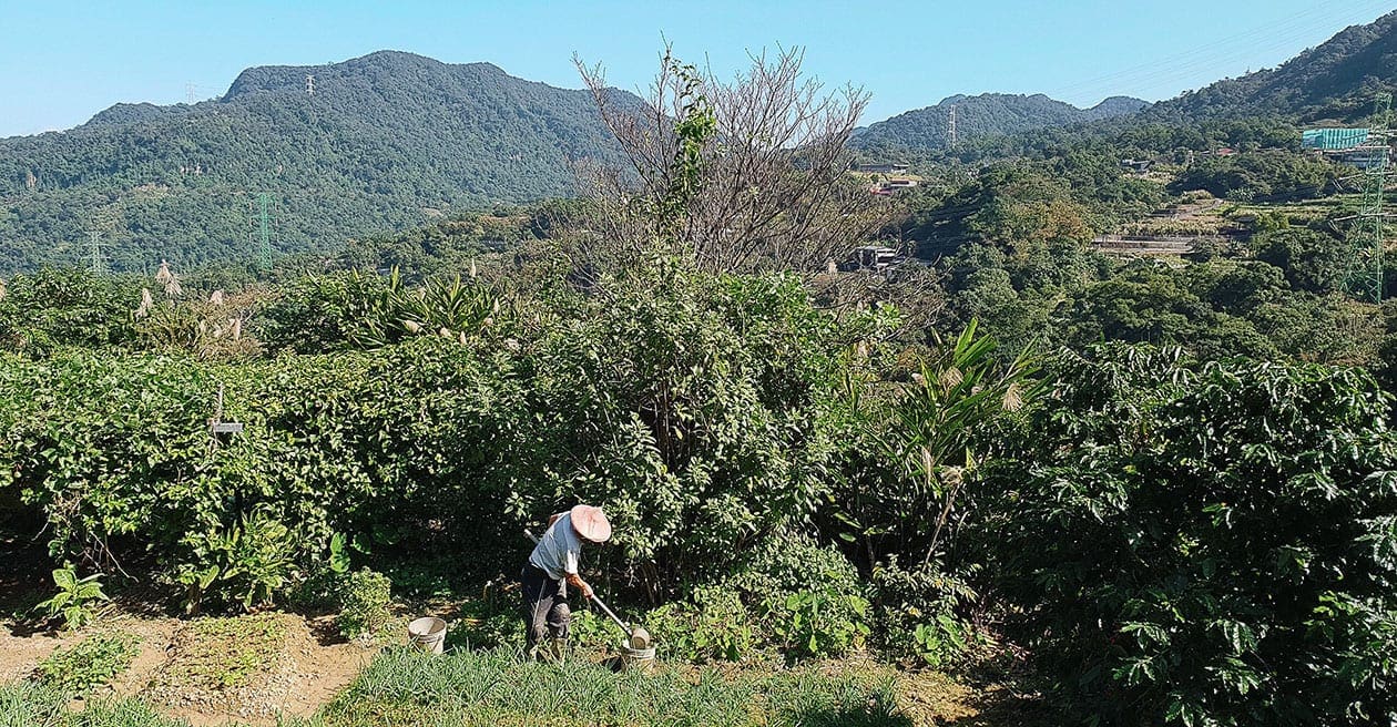 man aan het werk in taiwan