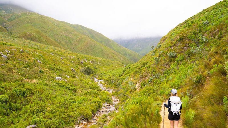 Hike in Jonkershoek Kaapstad