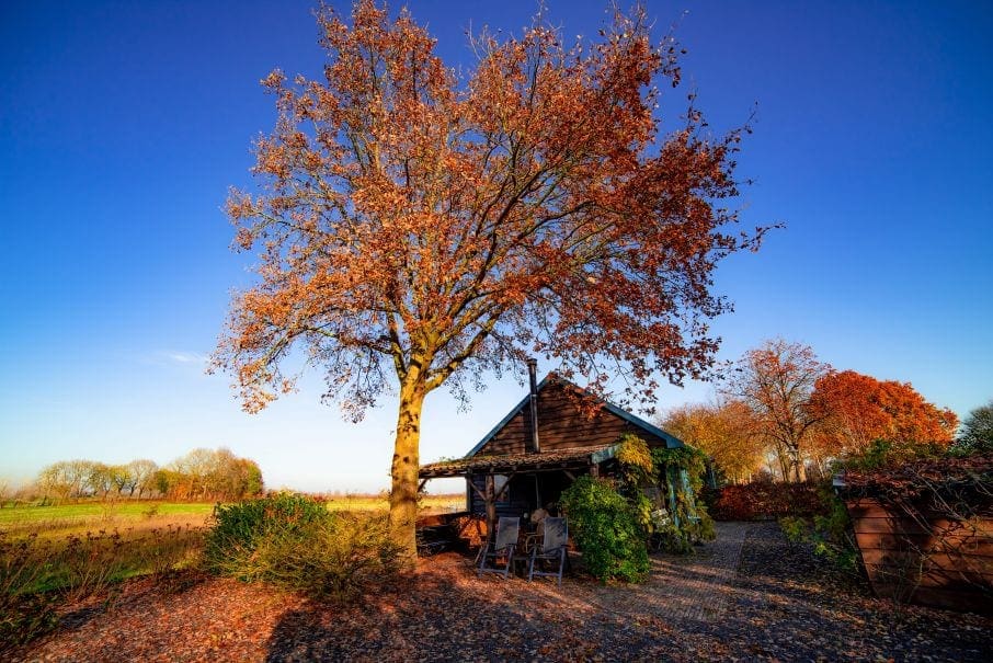 Huisje gelegen in rustige omgeving in Brummen