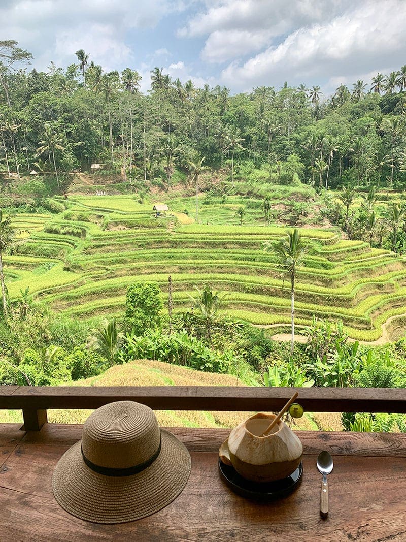 Tijdens je vakantie naar Bali zie je genoeg rijstterrassen