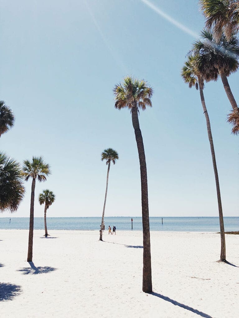 het strand op bij tampa