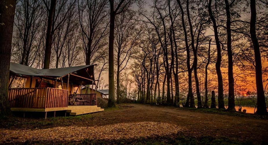 Ruysbos glamping nederland