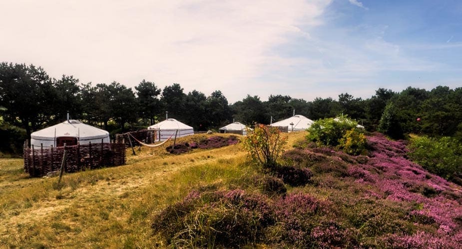 Vakantie in een van de yurts op Texel