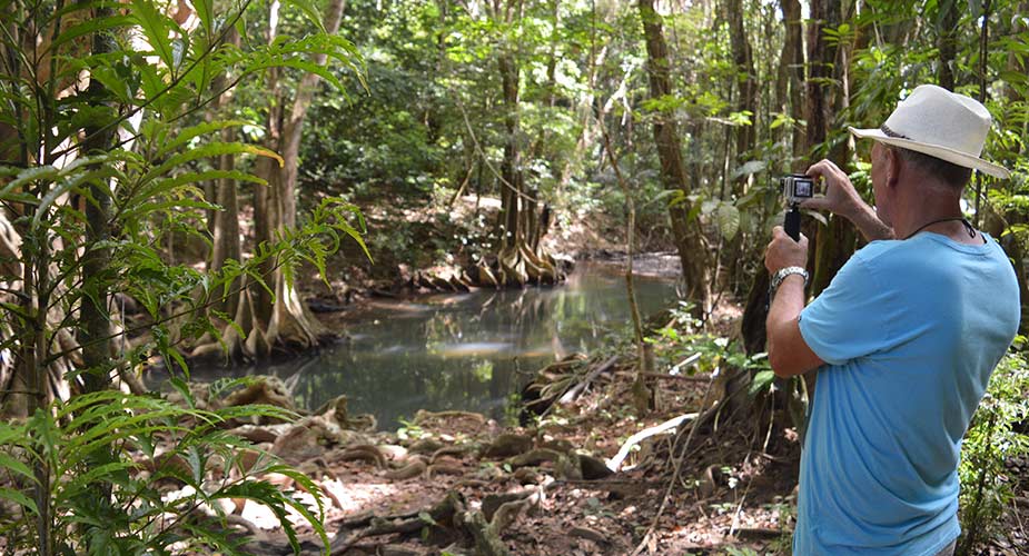 Kennis maken met de jungle in Dominica
