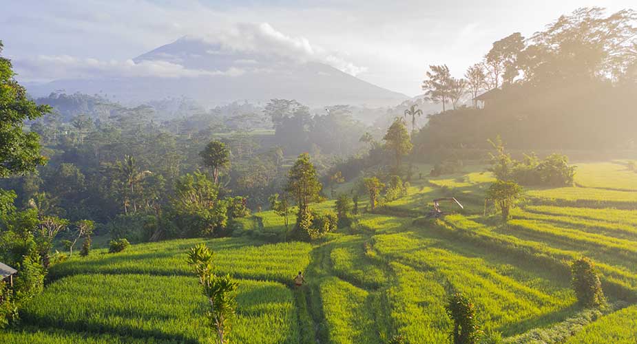 Bezoek rijstvelden als deze tijdens een vakantie naar Bali