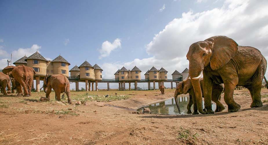 Savora Salt Lick Game Lodge