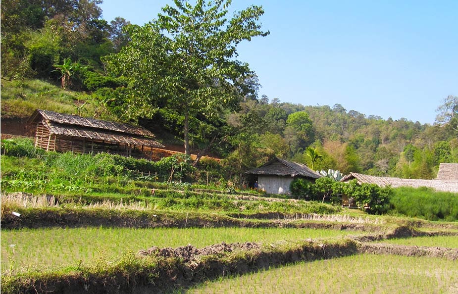 Uitzicht op rijstterrassen vanuit de trein in Thailand op weg naar Chiang Mai