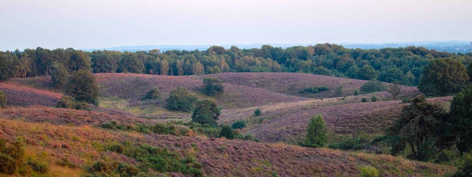 Veluwe Natuurgebieden Triptalk