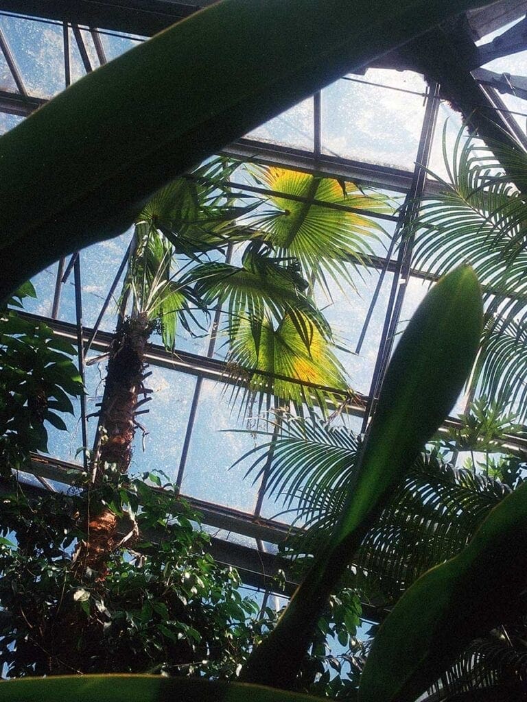 hortus botanicus amsterdam