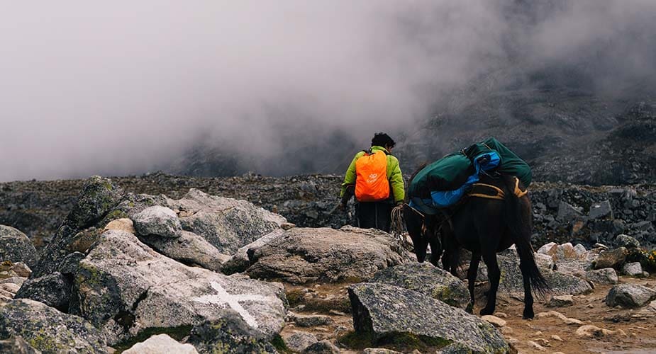 Salkantay Trek