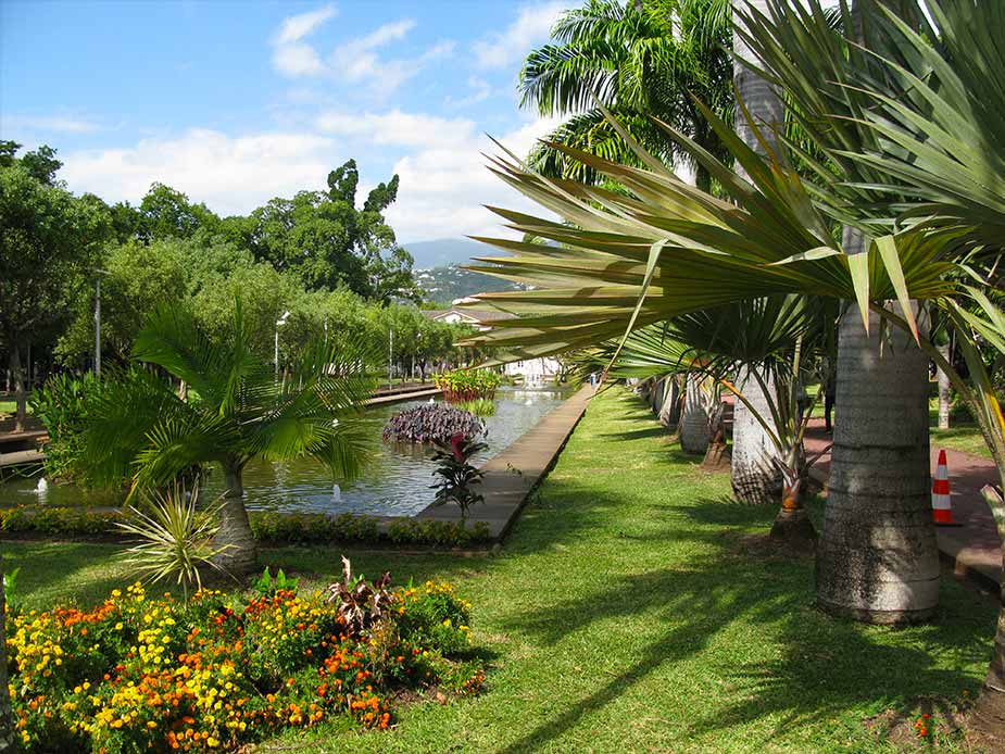 Vegetatie in Le Jardin de L Etat